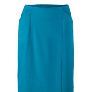 CAbi Sigourney Skirt Blue